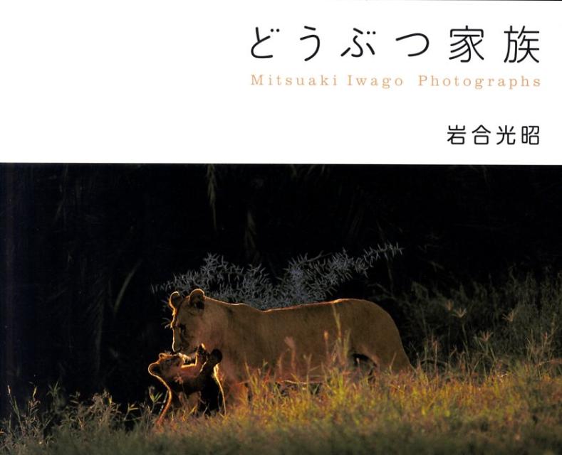 どうぶつ家族 Mitsuaki　Iwago　Photograph [ 岩合光昭 ]