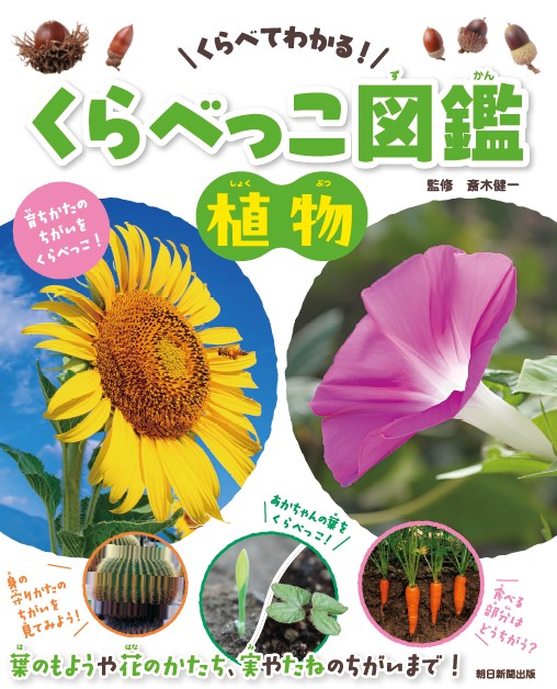 くらべっこ図鑑　植物の表紙
