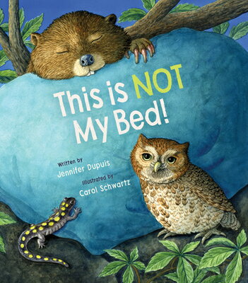 This Is Not My Bed! THIS IS NOT MY BED [ Jennifer Dupuis ]