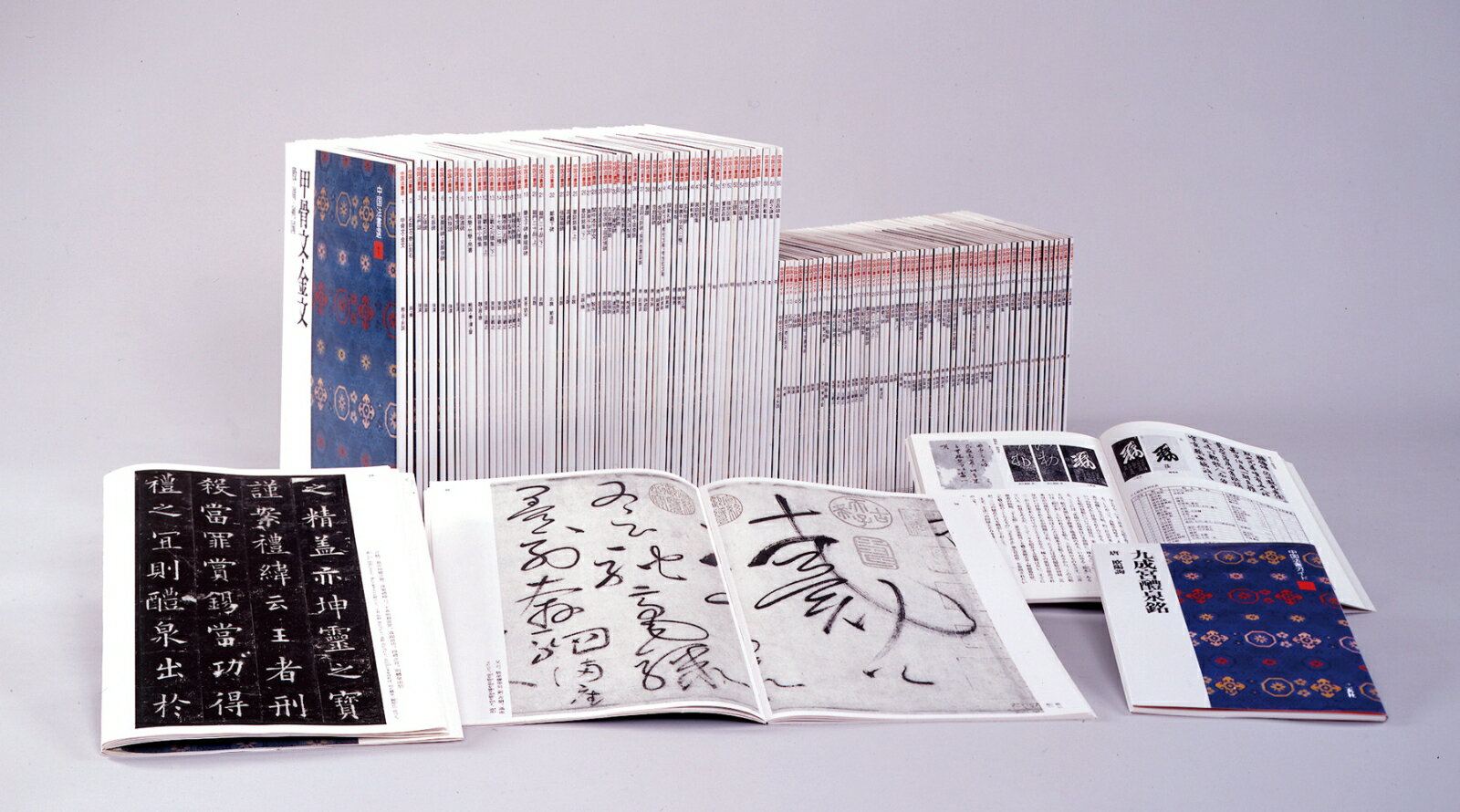 ���������� �����ˡ������16�� [ �󸼼��Խ��� ]