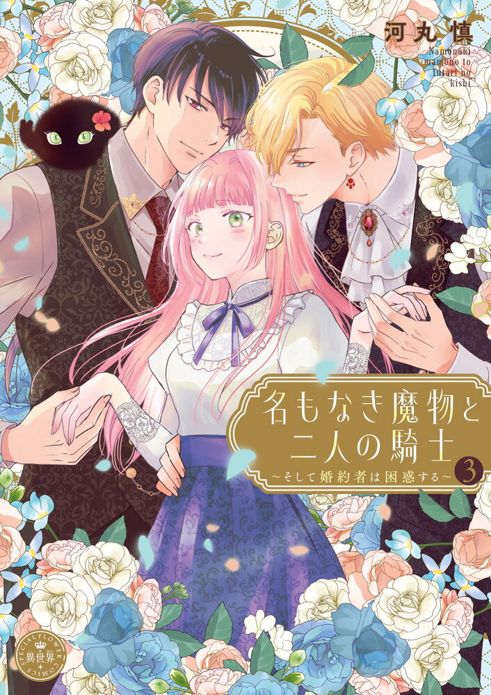 名もなき魔物と二人の騎士〜そして婚約者は困惑する〜（3）の表紙