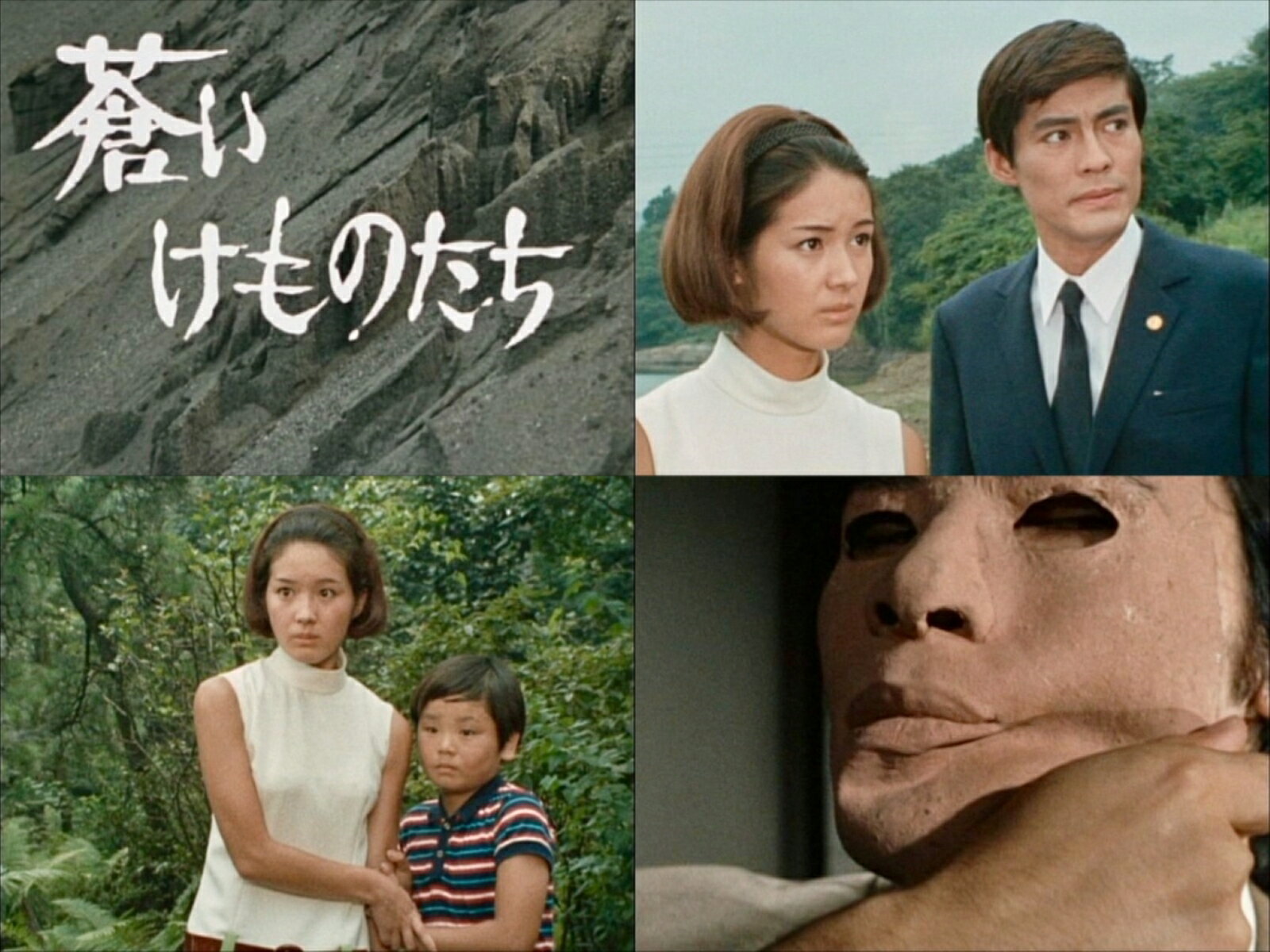 蒼いけものたち コレクターズDVD ＜HDリマスター版＞【昭和の名作ライブラリー 第152集】 [ 酒井和歌子 ]