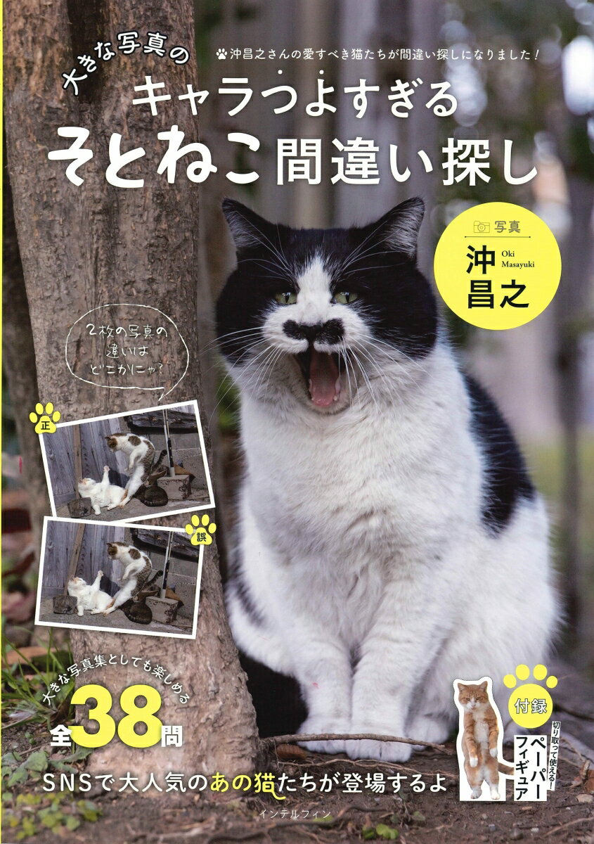 大きな写真のキャラつよすぎるそとねこ間違い探し