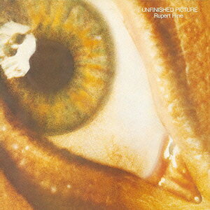 アンフィニッシュド・ピクチャー [ ルパート・ハイン ]