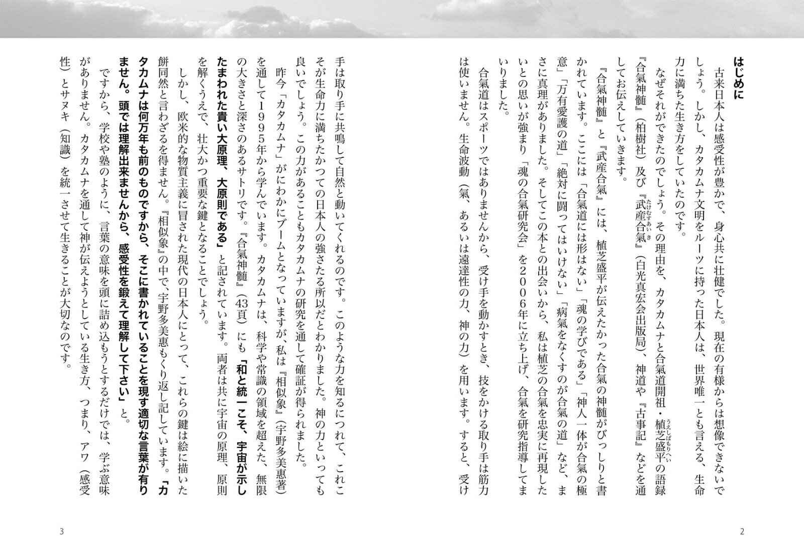 カタカムナで直感する神人一体の合氣 「絶対不敗...の紹介画像2