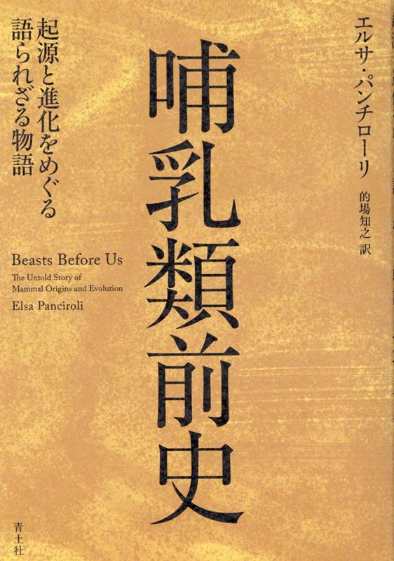 哺乳類前史 起源と進化をめぐる語られざる物語 [ エルサ・パンチローリ ]