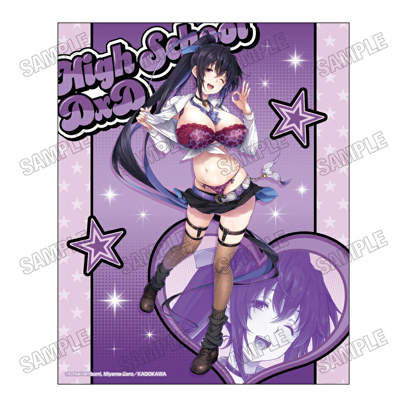 ハイスクールD×D 描き下ろしキャンバスアート【アメスクver．】2姫島朱乃