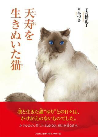 天寿を生きぬいた猫