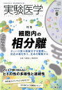 実験医学2019年6月号 （VOL.37 NO.9） 加藤 昌人