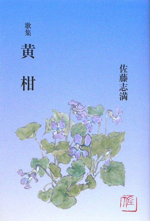 黄柑