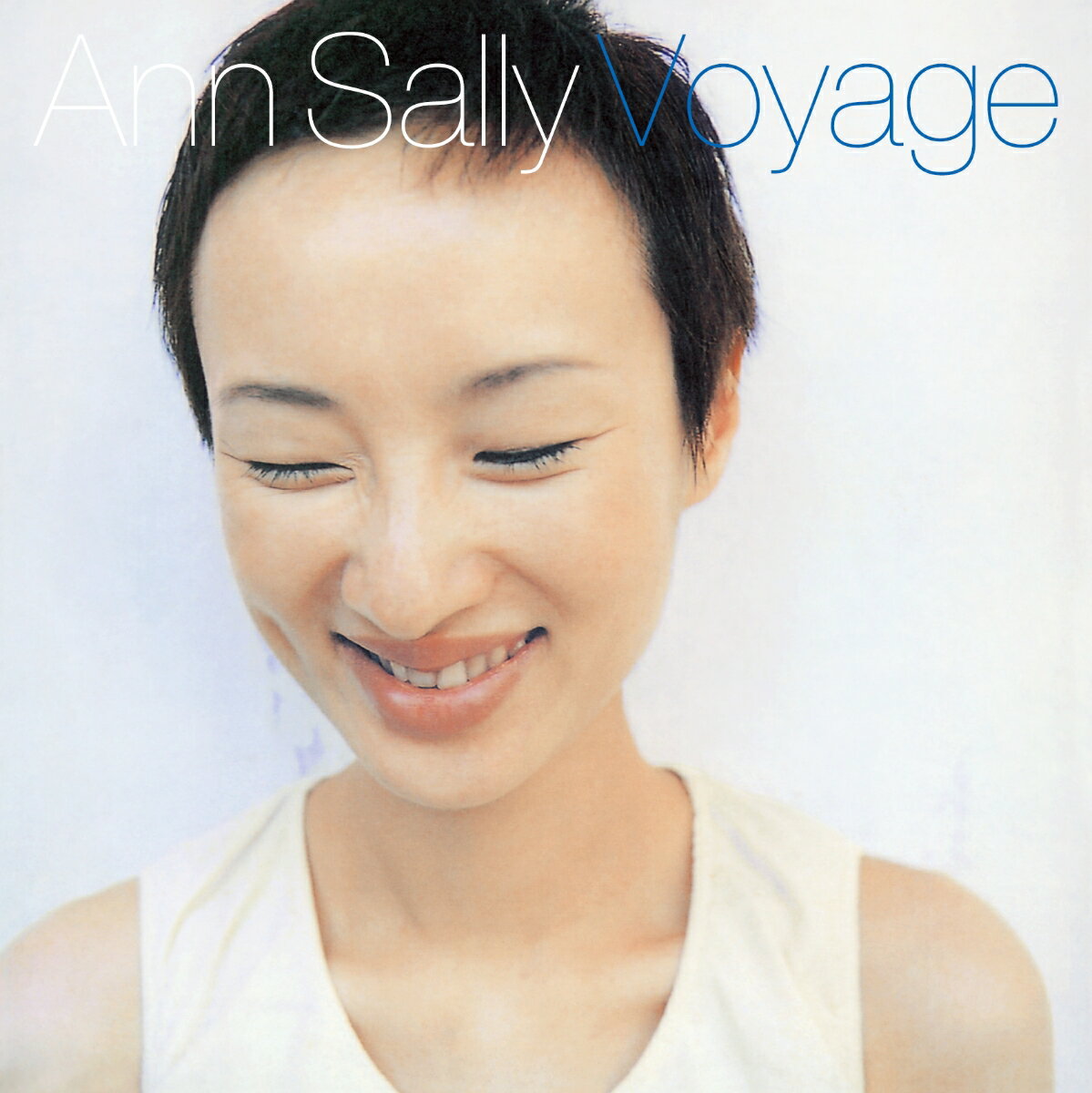 Voyage【アナログ盤】