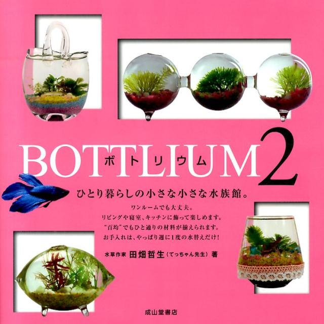 ワンルームでも大丈夫。リビングや寝室、キッチンに飾って楽しめます。“百均”でもひと通りの材料が揃えられます。お手入れは、やっぱり週に１度の水替えだけ！