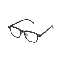 GLASSES W/COLOR LENS TORTOISE/CLEAR　YGJ133TO/CL