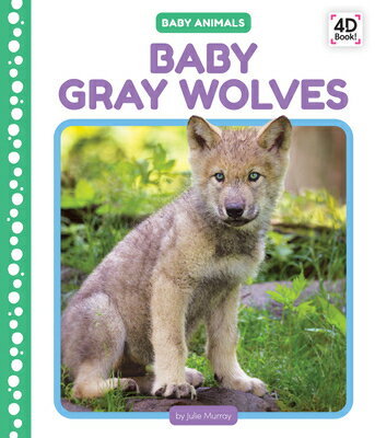 Baby Gray Wolves BABY GRAY WOLVES （Baby Animals） 