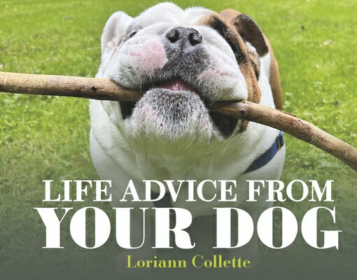 Life Advice from Your Dog