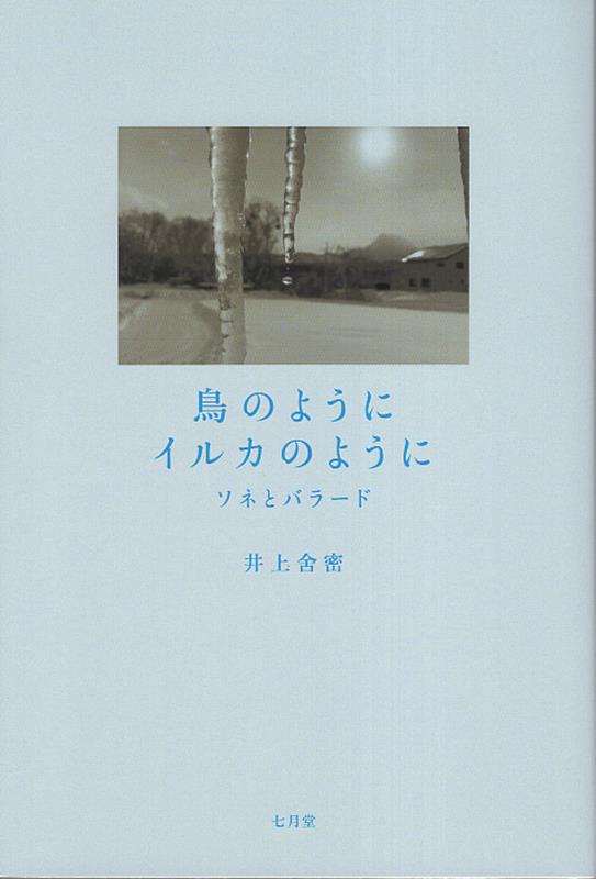 鳥のようにイルカのように