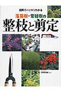 落葉樹・常緑樹の整枝と剪定 図解