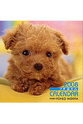 プチCalendarわん（2008）