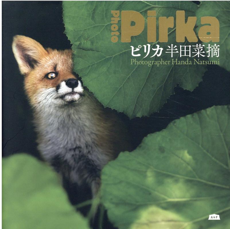 写真家として、医療従事者として。日々いのちと向き合いながら追い求めた、野生に生きる動物たちの知られざる素顔。セブンルール（フジテレビ系列）出演。国内外のフォトコンテストで高く評価される「異色のパラレルワーカー」による渾身のデビュー作。半田菜摘待望の写真集。