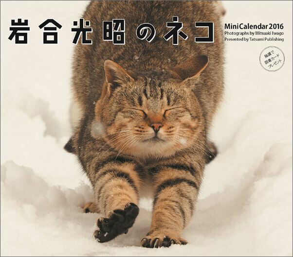 ミニカレンダー岩合光昭のネコ（2016）