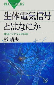 生体電気信号とはなにか