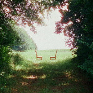 Singin' to an Empty Chair【アナログ盤】