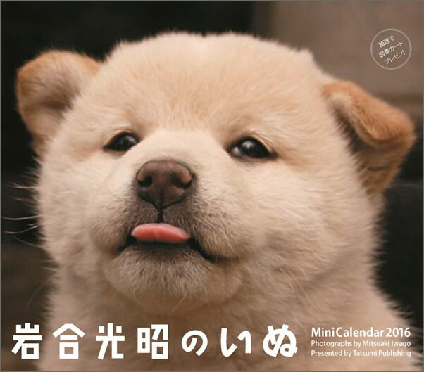ミニカレンダー岩合光昭のいぬ（2016）