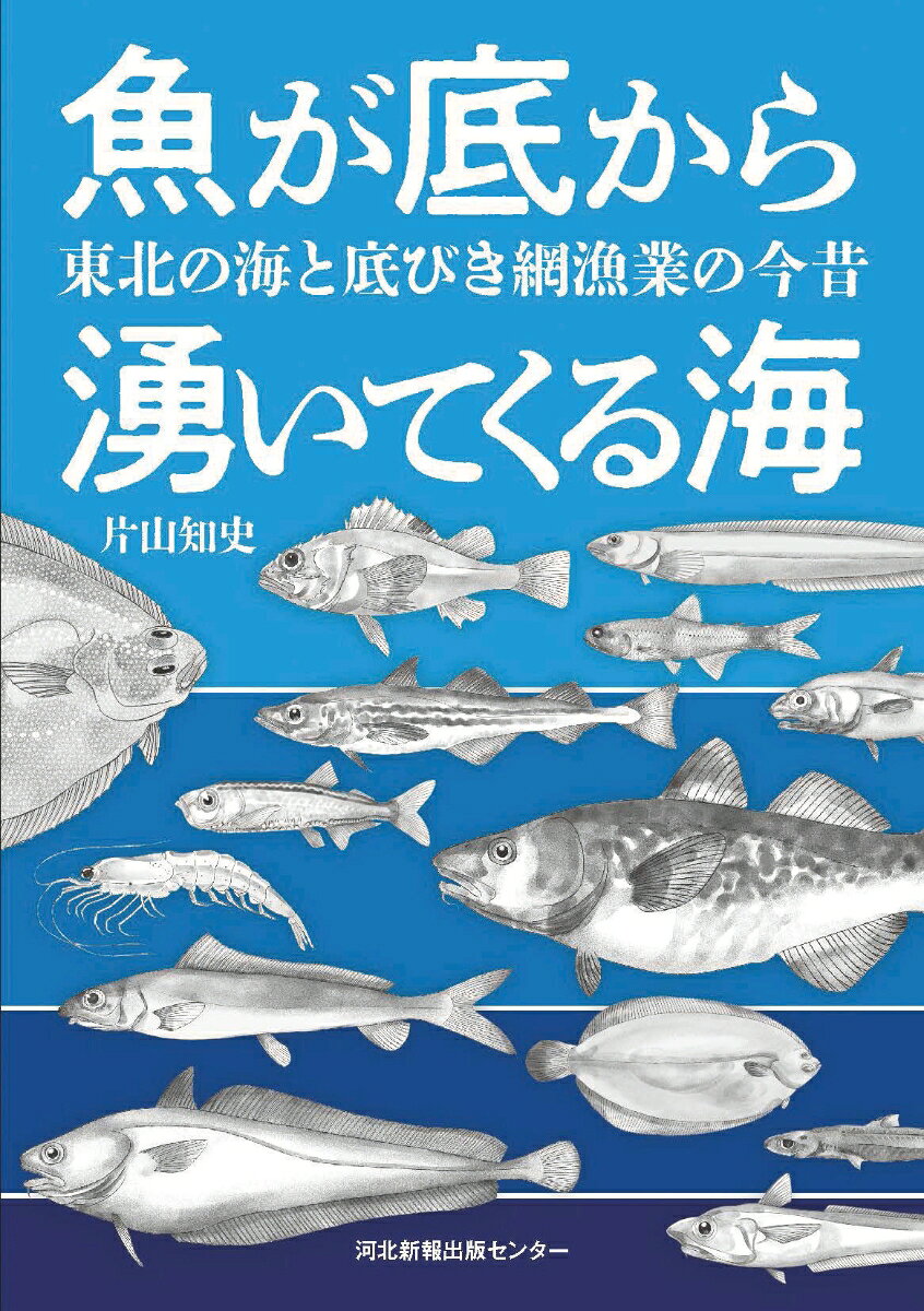 魚が底から湧いてくる海　東北の海と底びき網漁業の今昔 [ 片山 知史 ]