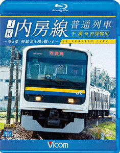 JR内房線 普通列車 千葉～安房鴨川 春と夏 房総色を乗