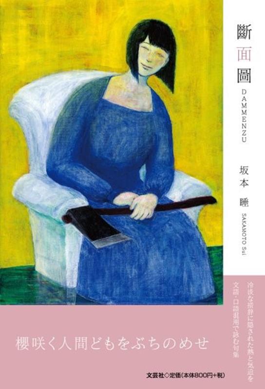 斷面圖