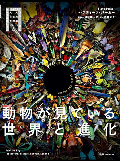 動物が見ている世界と進化