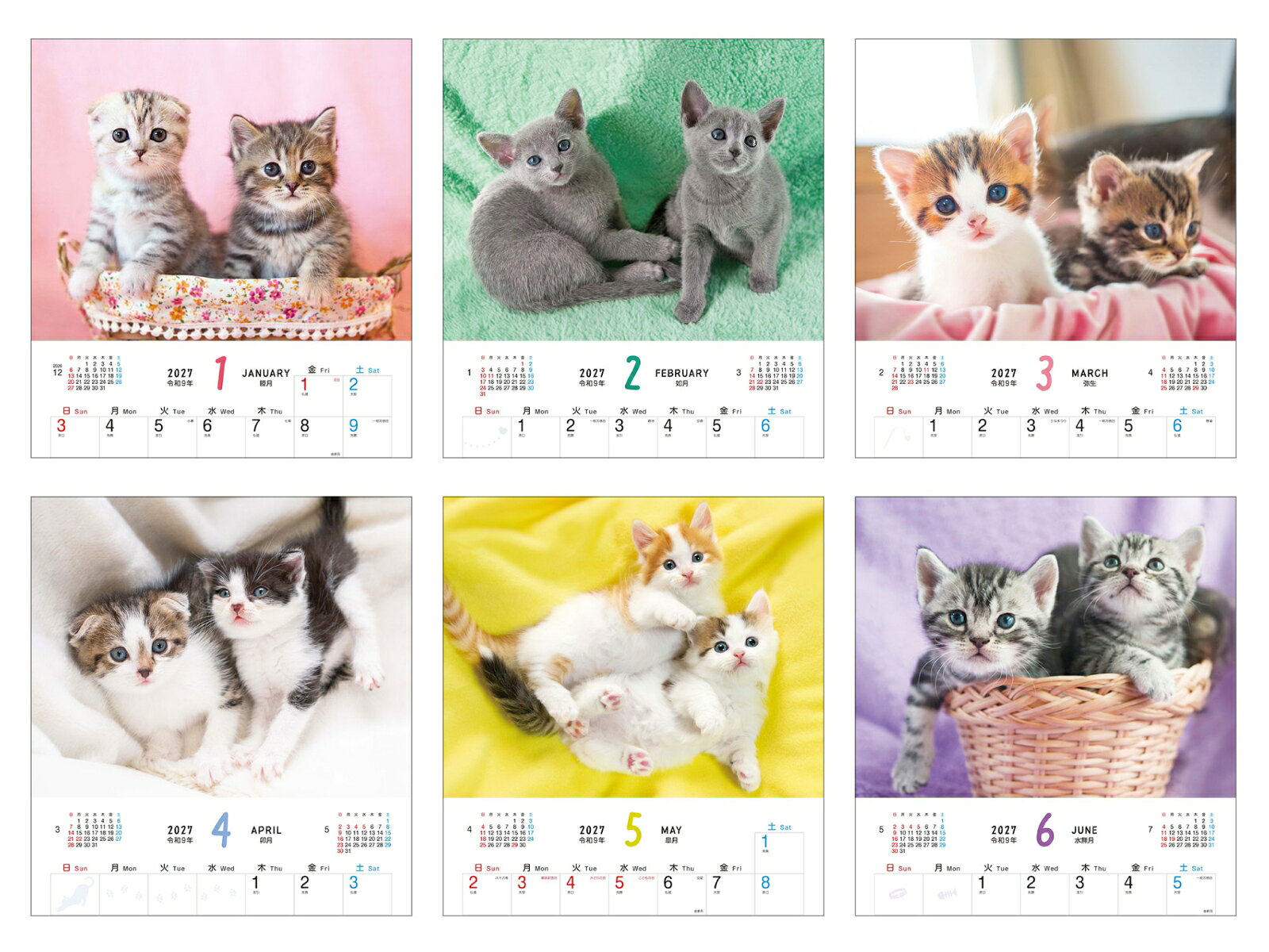 ふわふわこにゃんこ （インプレスカレンダー2027） [ 板東寛司 ] (2)