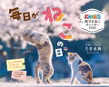 にゃっぷる旅するねこカレンダー2026卓上版「毎日がねこの日」/ねこの保護団体への寄付つき