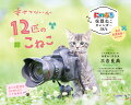 にゃっぷる保護ねこカレンダー2026卓上版「幸せつないだ12匹のこねこ」/ねこの保護団体への寄付つき