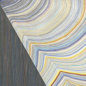 ブレイキング・ザ・シェル [ ビル・フリゼール、キット・ダウンズ、アンドリュー・シリル ]