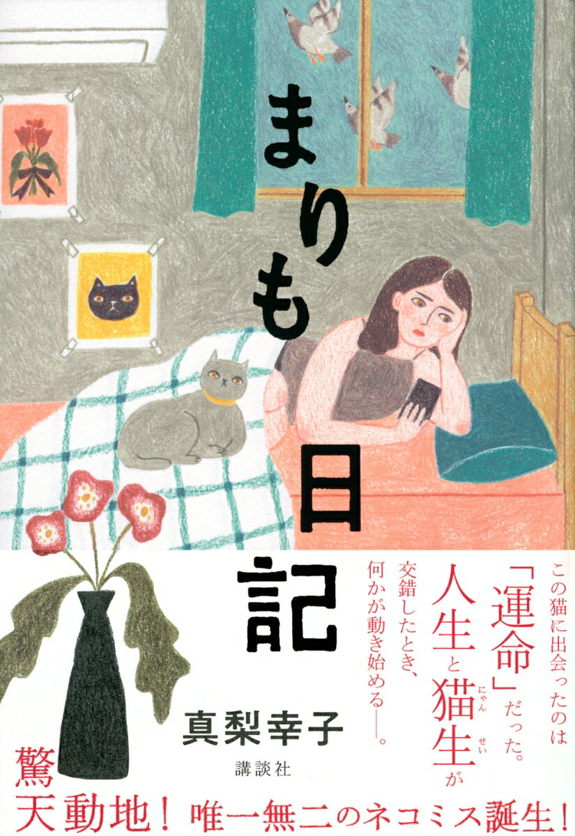 まりも日記 [ 真梨 幸子 ]の紹介画像2