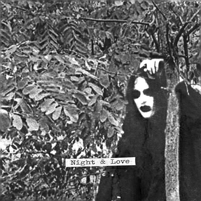 【輸入盤】Night & Love