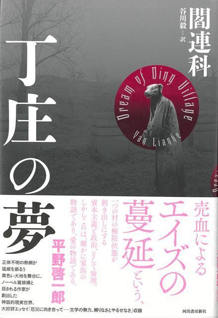 【バーゲン本】丁庄の夢