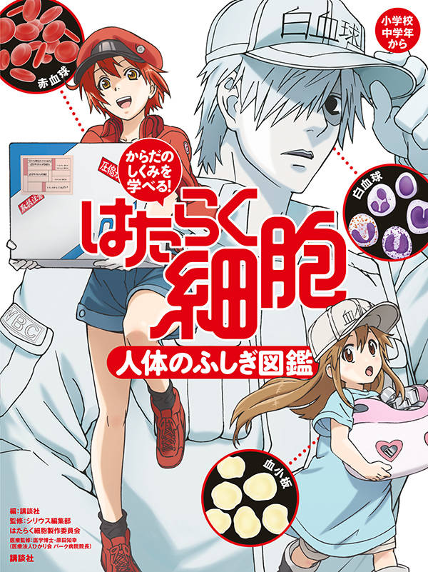 小学生向け！体の仕組みについて学べる図鑑のオススメはどれですか？