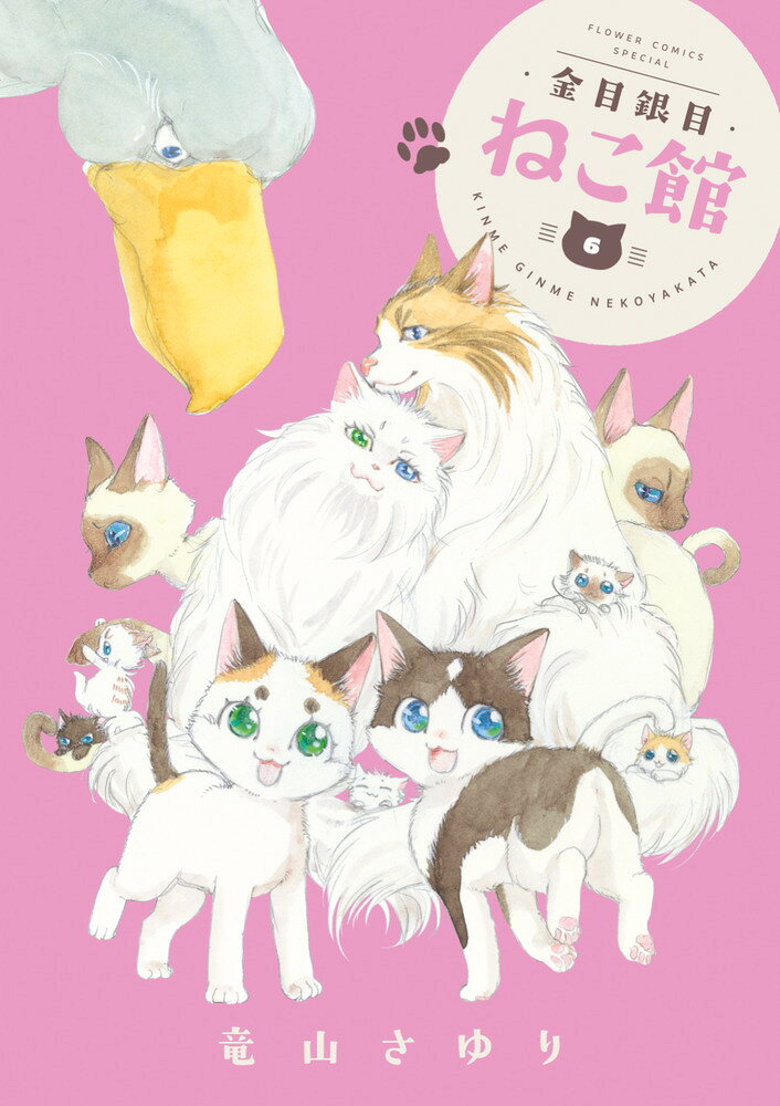 金目銀目ねこ館（6）