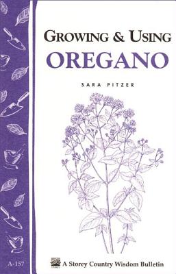 Growing & Using Oregano