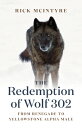 The Redemption of Wolf 302: From Renegade to Yellowstone Alpha Male REDEMPTION OF WOLF 302 （The Alpha Wolves of Yellowstone） Rick McIntyre