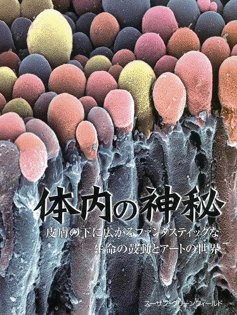 【バーゲン本】体内の神秘