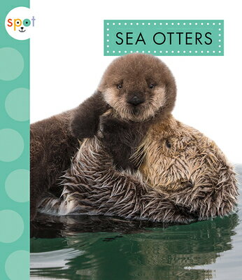 Sea Otters SEA OTTERS （Spot Arctic Animals） 