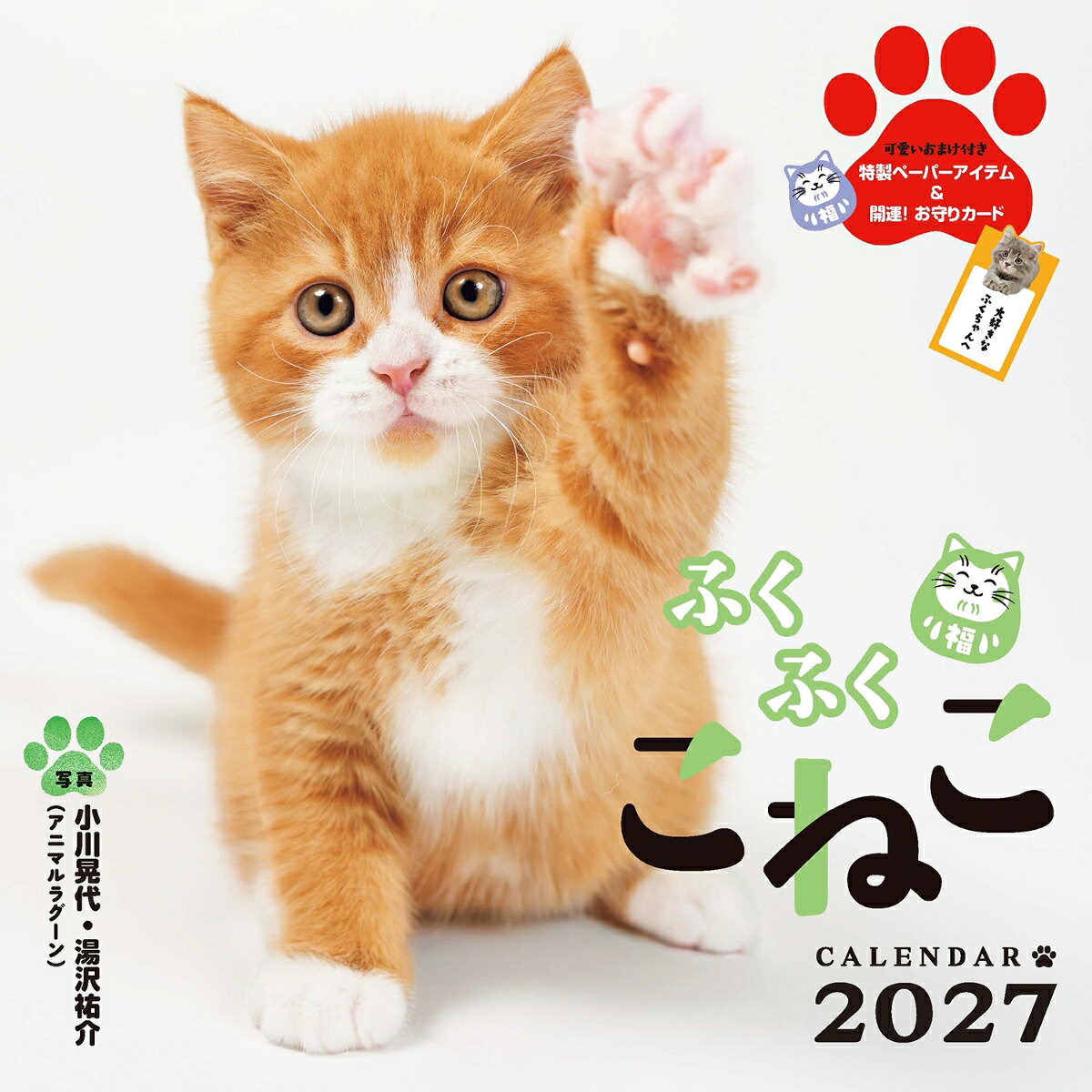 ふくふくこねこ （インプレスカレンダー2027） [ 小川晃代（アニマルラグーン） ]