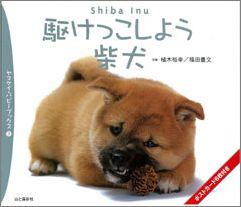 【バーゲン本】 駆けっこしよう柴犬