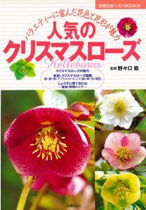 【バーゲン本】 人気のクリスマスローズ