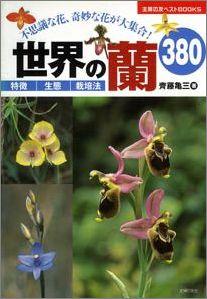 【バーゲン本】 世界の蘭380