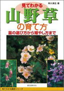 【バーゲン本】 見てわかる山野草の育て方