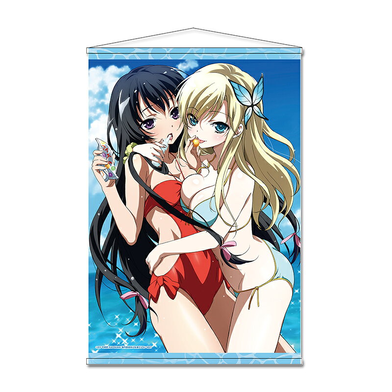 「僕は友達が少ない」からB2タペストリー【A】が登場！【対象年齢】：15歳以上【商品サイズ (cm)】(幅×高さ）：72.8×51.5